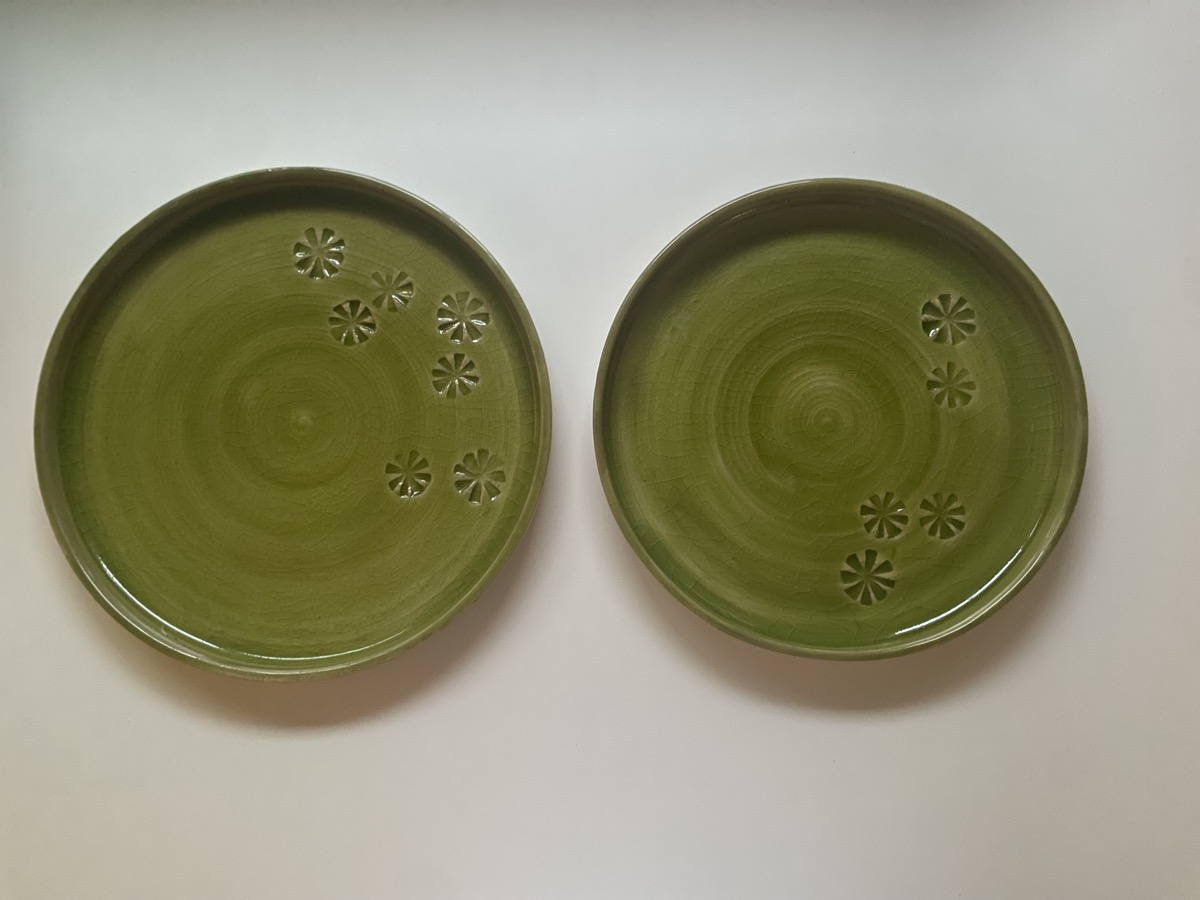 Dish